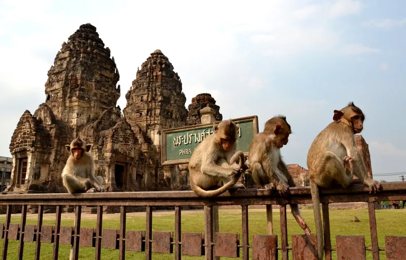 Lopburi cuốn hút du khách bởi di tích cổ