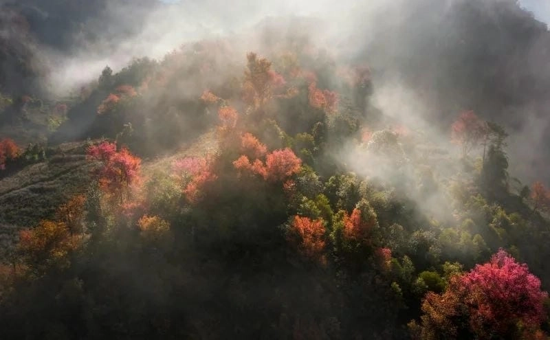 Say đắm vẻ đẹp trầm mặc của Mù Cang Chải vào mùa đông