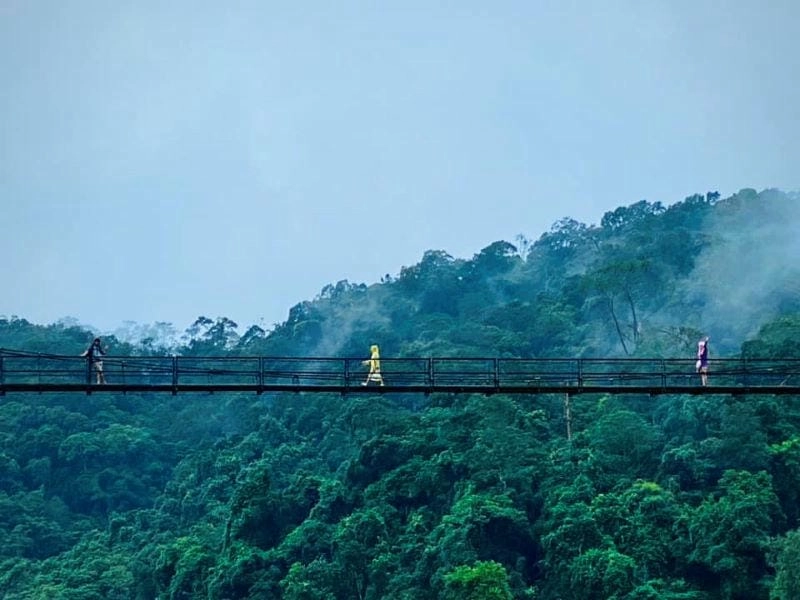 Khám phá mùa đông lạnh giá Kon Tum đầy trải nghiệm