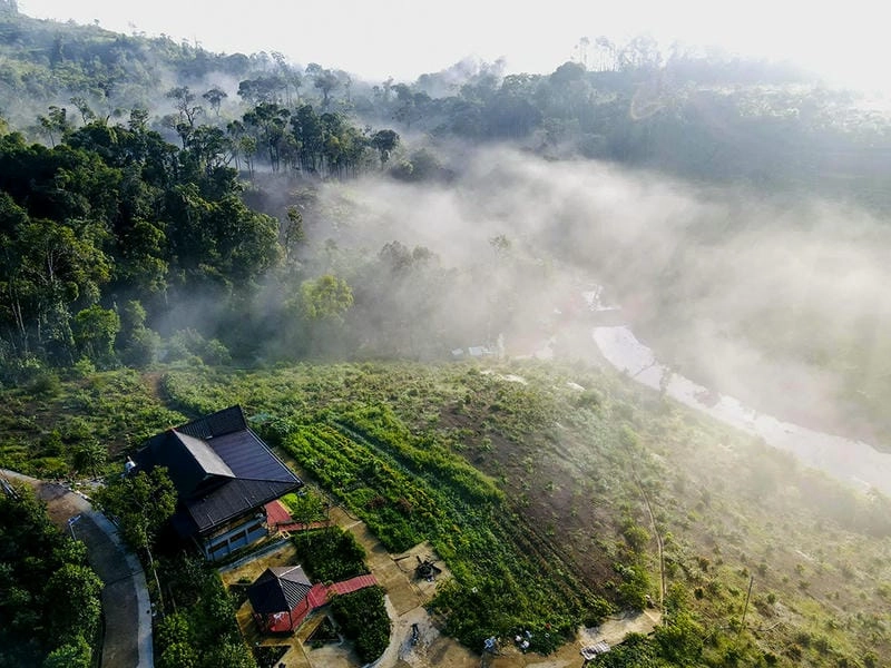 Kon Tum lạnh giá nhưng vẫn đầy sức sống thiên nhiên