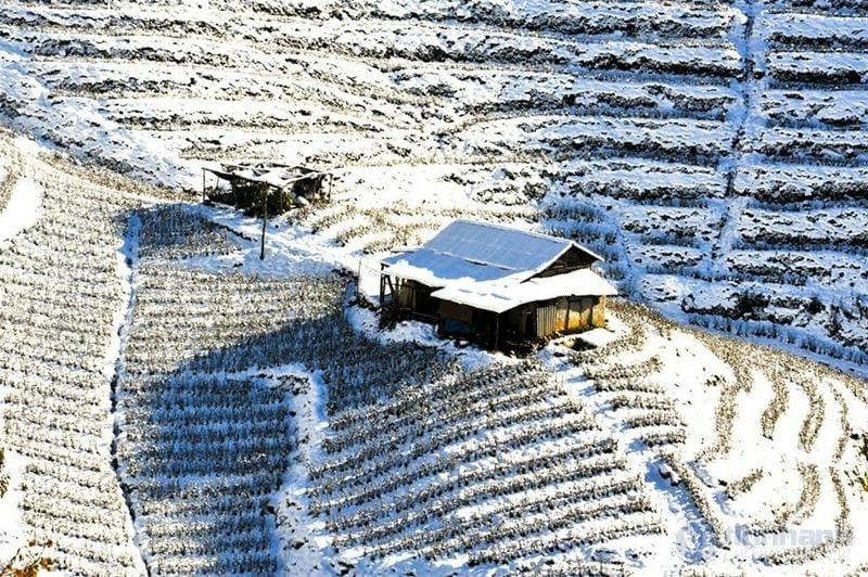 Ngỡ ngàng trước ruộng bậc thang mùa đông