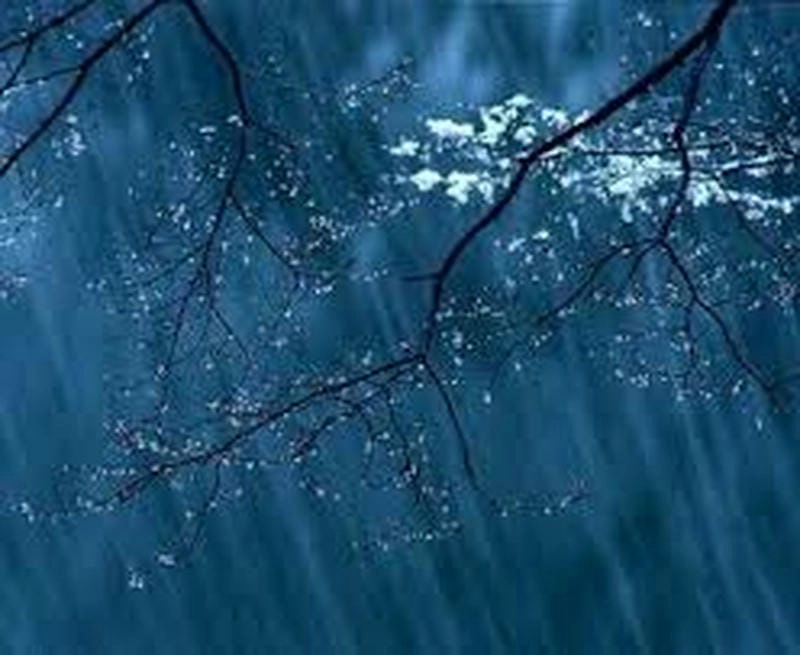 Tĩnh lặng rét buốt mùa đông về đêm