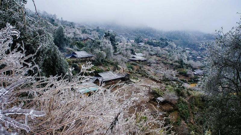 Ảnh lạnh giá Sơn La làm say lòng người yêu thiên nhiên