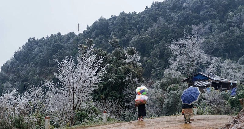 Bản làng mùa đông Sơn La bình yên dưới lớp sương mờ
