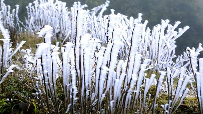 Mùa đông Mộc Châu tuyết phủ trắng xóa cao nguyên