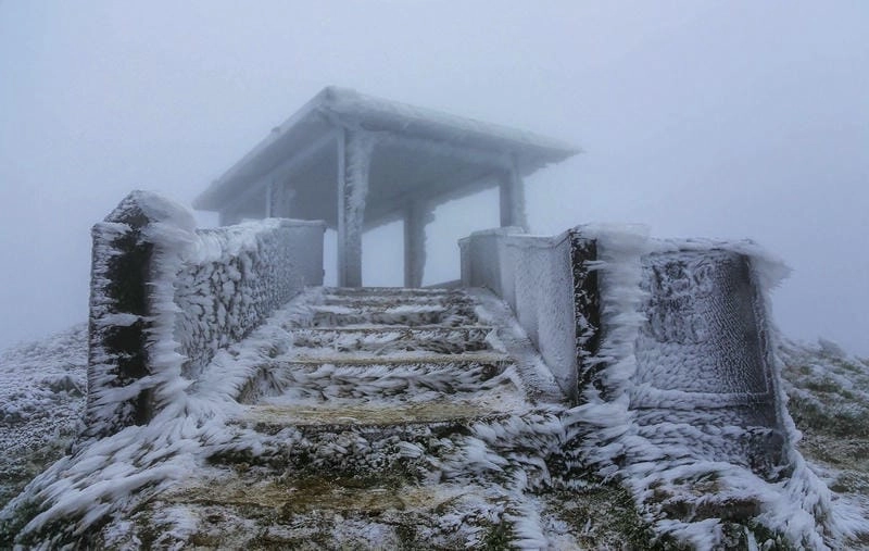 Khám phá Mùa đông Mộc Châu tuyết đẹp mê hồn