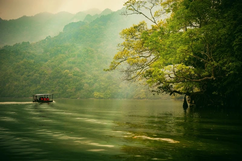 Thức dậy ngắm bình minh sương mù nhẹ trôi lãng đãng
