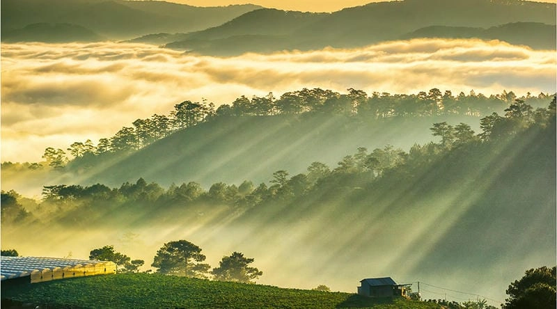 Ấm áp những ngày mùa đông Đà Lạt
