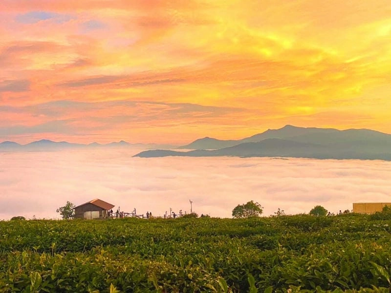 Nhuộm tím chiều tà hoàng hôn Đà Lạt