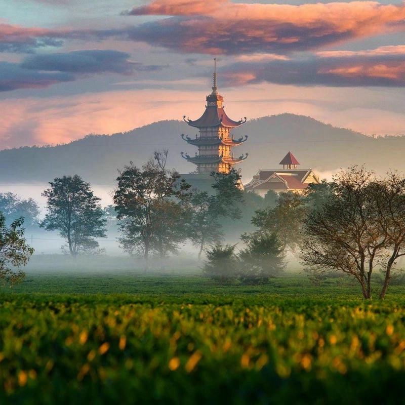 Mùa đông sương mù Gia Lai đẹp huyền ảo khó quên