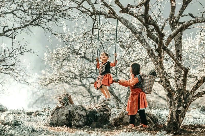Huyền ảo tuyệt đẹp với ảnh sương mù Mai Châu