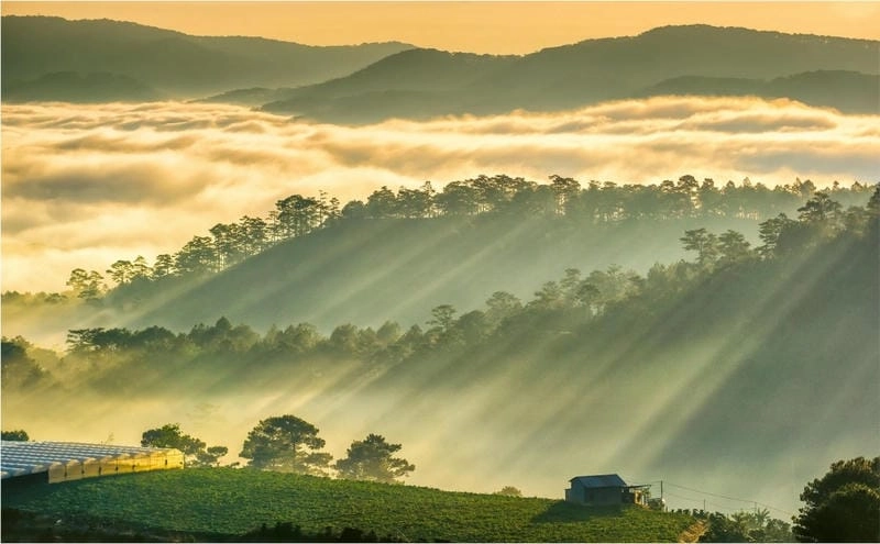 Lặng ngắm không gian bình minh sương mù
