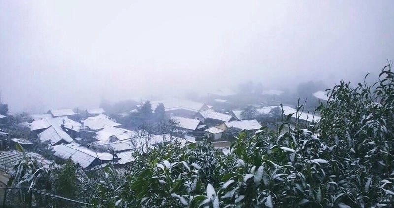 Top các điểm đến không thể bỏ qua ở Yên Bái mùa đông