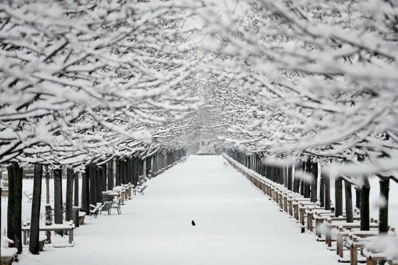 Bình minh tuyết rơi ở Chamonix đẹp đến nao lòng