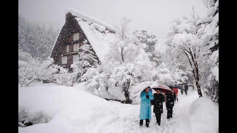 Sương mù mùa đông bao phủ khung cảnh tuyết trắng Chamonix