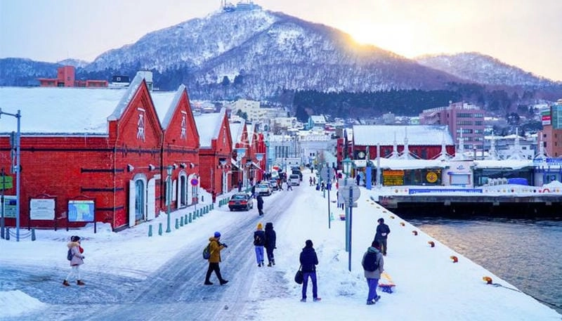 Bình minh tuyết rơi ở Hokkaido đẹp đến nao lòng