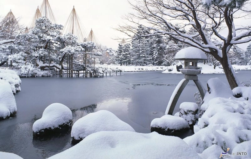 Sương mù mùa đông bao phủ khung cảnh tuyết trắng Hokkaido