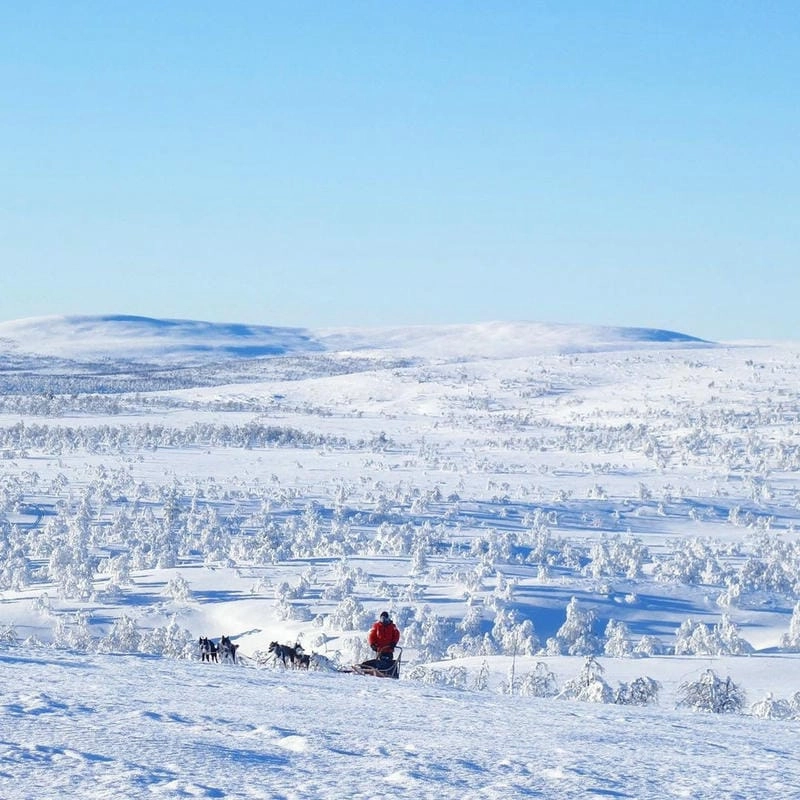 Núi tuyết Lapland hùng vĩ giữa trời đông