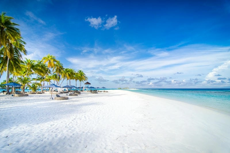 Những hoạt động thú vị tại bãi biển Maldives mùa hè thu hút mọi du khách