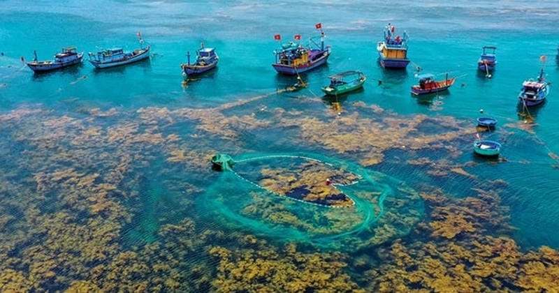 Thời gian lý tưởng để khám phá biển Bình Định mùa hè