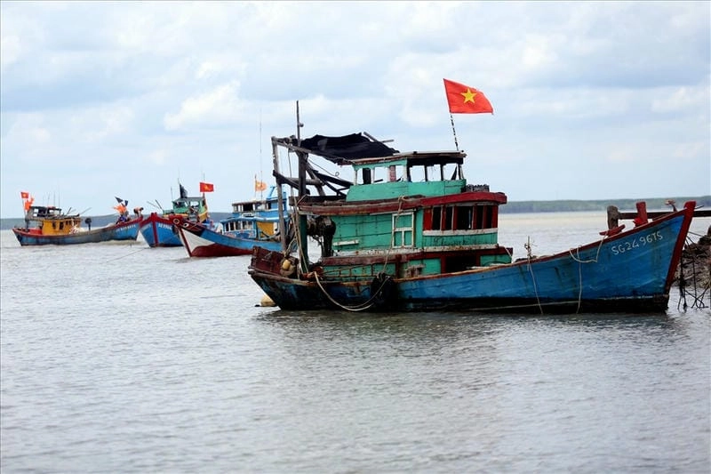 Thuyền biển mùa hè trôi lững lờ giữa khung cảnh thanh bình nên thơ
