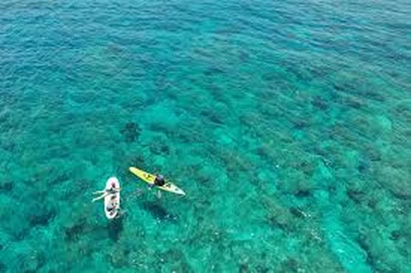 Tận hưởng những ngày mùa hè thơ mộng nhẹ nhàng