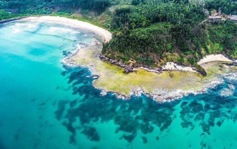 Mùa hè biển Quảng Ngãi thu hút du khách bởi cảnh đẹp tự nhiên