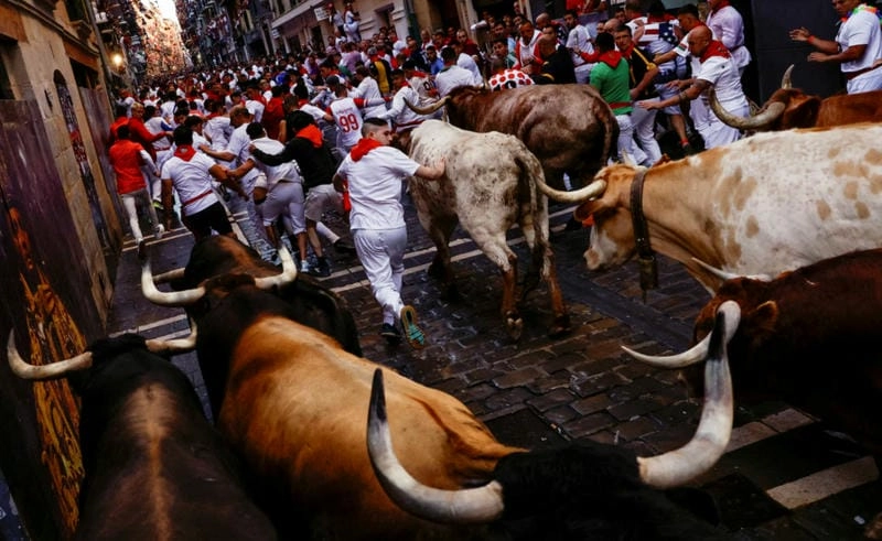 Phố lễ hội bò tót ở Pamplona