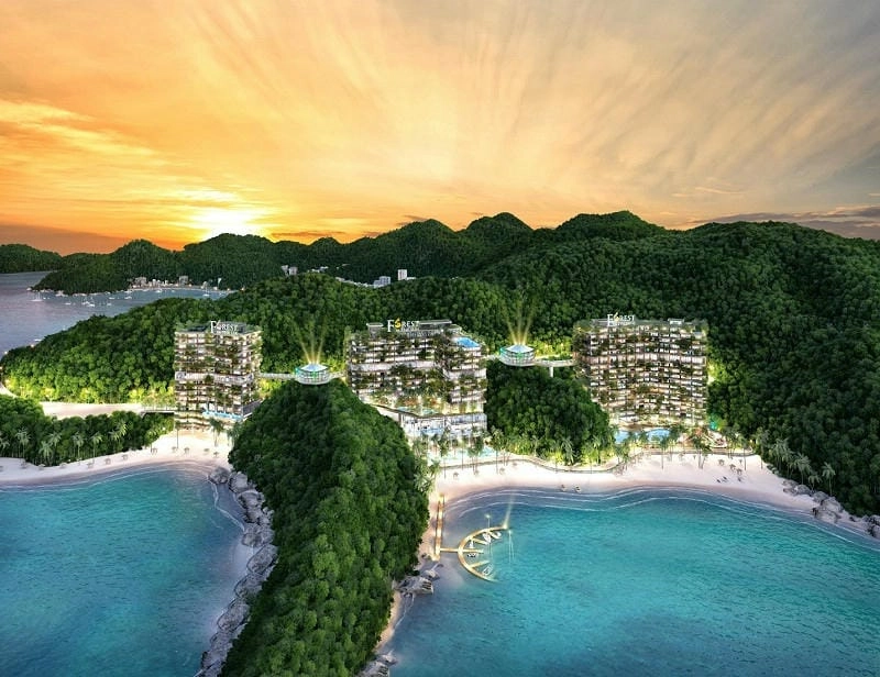 Mùa hè biển Cát Bà chơi gì ăn gì hấp dẫn