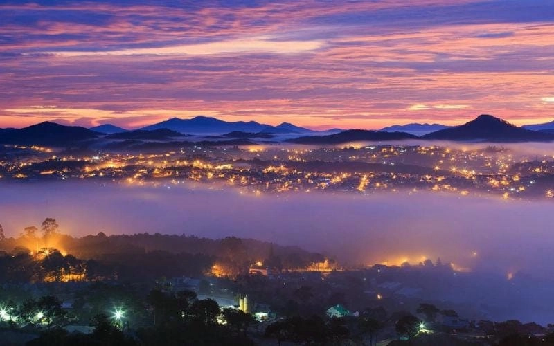 Đà Lạt về đêm mờ ảo giữa cánh đồng hoa cải trắng dịu êm