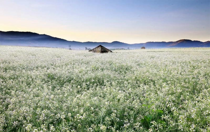 Say lòng khí trời mùa đông Mộc Châu se lạnh