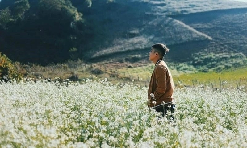 Hoàng hôn Mù Cang Chải bên đồi hoa cải trắng thơ mộng
