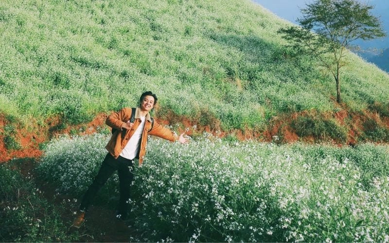 Khám phá điểm ngắm hoa cải trắng Sơn La tuyệt vời