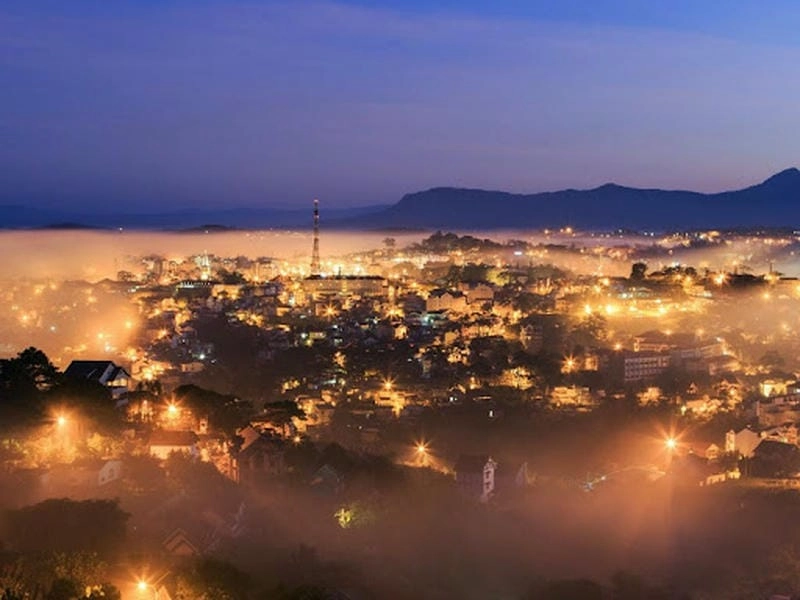 Mùa đông về đêm Đà Lạt với hoa cải vàng rực rỡ ánh đèn