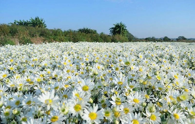 Lặng lẽ dịu êm mùa đông về đêm