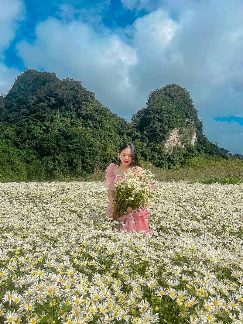 Kinh nghiệm di chuyển săn cúc họa mi giúp chuyến đi suôn sẻ hơn