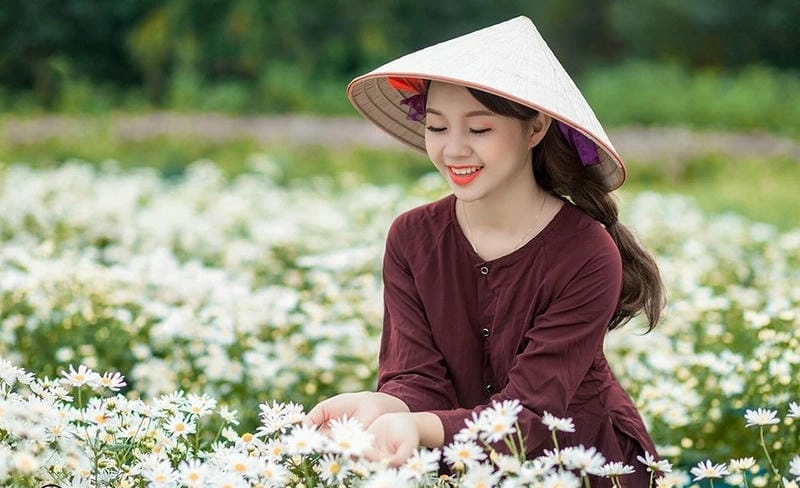 Tuyên Quang thơ mộng cùng mùa hoa cúc họa mi