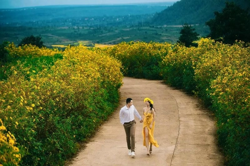 Gia Lai thơ mộng với mùa hoa dã quỳ ngút ngàn