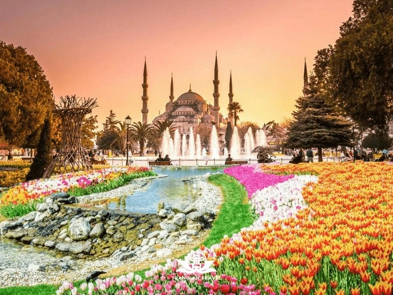 Vẻ đẹp rực rỡ của mùa hoa tulip Thổ Nhĩ Kỳ khiến lòng người xao xuyến