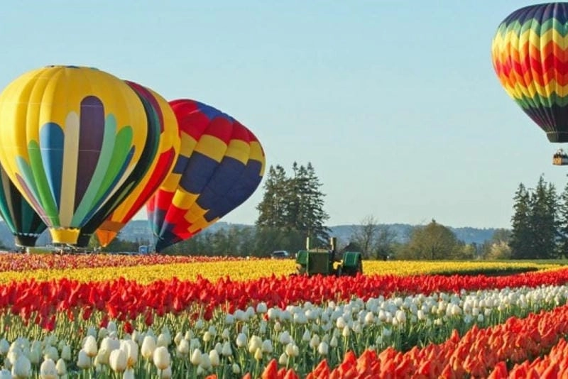 Trải nghiệm đáng nhớ cùng mùa hoa tulip Thổ Nhĩ Kỳkhông thể quên