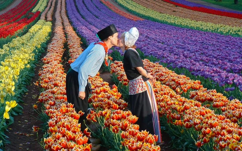 Lễ hội Floriade rực rỡ sắc màu
