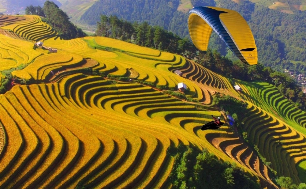 Đừng bỏ lỡ lý do khiến mùa lúa chín thu hút du khách