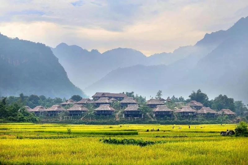 Cuộc sống yên vui nơi bản làng Hòa Bình lúc vào mùa