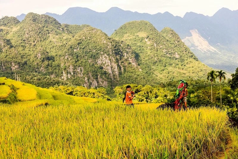 Không thể bỏ qua vẻ đẹp mùa thu Mộc Châu đầy cuốn hút