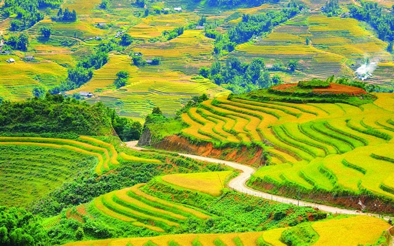 Ghé thăm những ruộng lúa Mộc Châu trải dài bát ngát