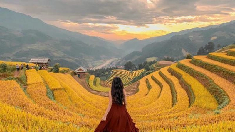 Lặng ngắm hoàng hôn Mộc Châu nhuộm vàng khắp núi đồi