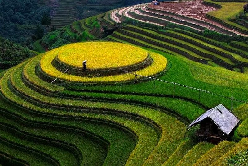 Đi qua bản làng Mộc Châu mộc mạc và thân thương