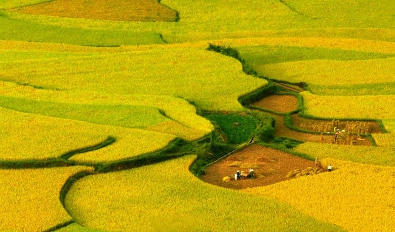Hành trình khám phá Mộc Châu thơ mộng quyến rũ