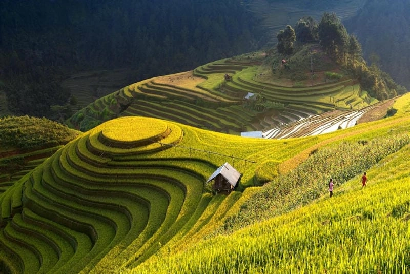 Ruộng bậc thang Yên Bái mùa thu lung linh ánh nắng chiều