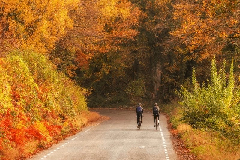 Đường mòn lá đỏ trải dài nên thơ